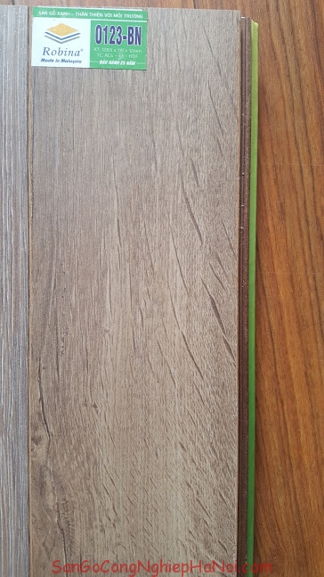 sàn gỗ ROBINA 0123-BN