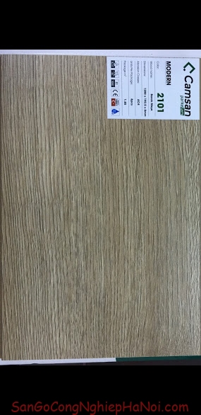 sàn gỗ camsan 2101 – 8mmV