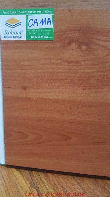 sàn gỗ ROBINA CA11A