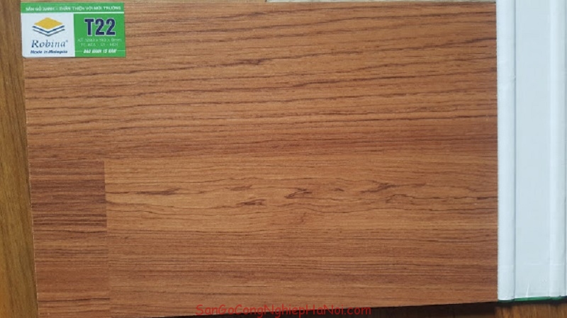 sàn gỗ robina T22
